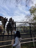 宇都宮動物園に投稿された画像（2023/11/13）