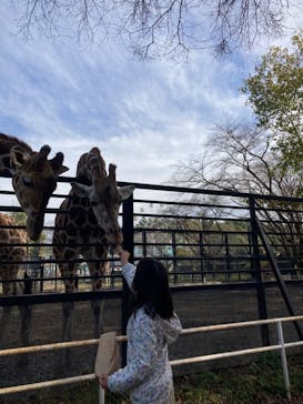 宇都宮動物園に投稿された画像（2023/11/13）