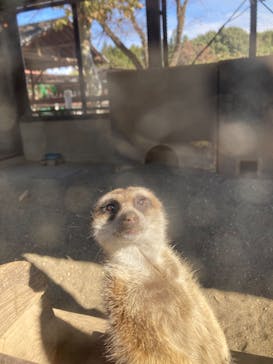 宇都宮動物園に投稿された画像（2023/11/13）