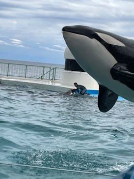 鴨川シーワールドに投稿された画像（2023/11/13）