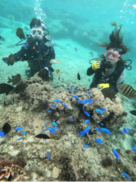 武藤潜水に投稿された画像（2023/11/13）