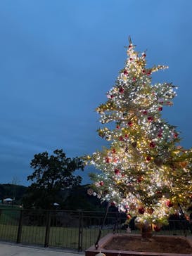 ムーミンバレーパークに投稿された画像（2023/11/13）