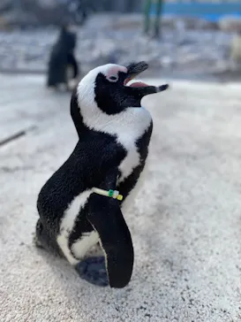 横浜・八景島シーパラダイスに投稿された画像（2023/11/13）