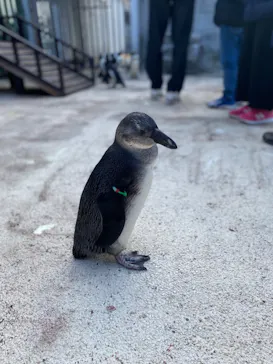 横浜・八景島シーパラダイスに投稿された画像（2023/11/13）