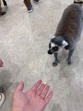 アニタッチみなとみらいに投稿された画像（2023/11/13）