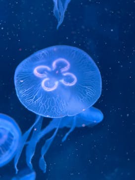 AOAO SAPPOROに投稿された画像（2023/11/13）