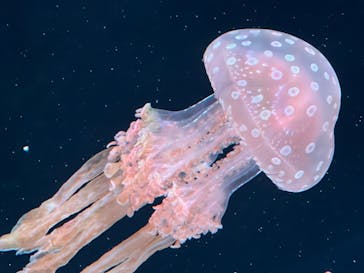 AOAO SAPPOROに投稿された画像（2023/11/13）