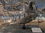 福井県立恐竜博物館に投稿された画像（2023/11/13）