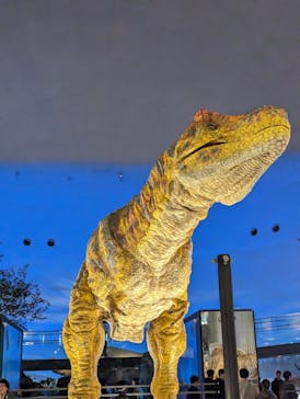 福井県立恐竜博物館に投稿された画像（2023/11/13）