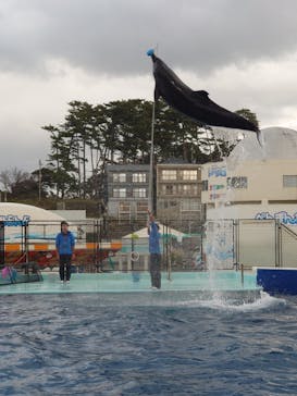 越前松島水族館に投稿された画像（2023/11/13）