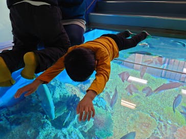 越前松島水族館に投稿された画像（2023/11/13）