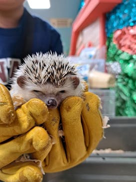 いきもの探検隊上尾に投稿された画像（2023/11/13）