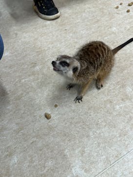 アニタッチ MARK IS 静岡に投稿された画像（2023/11/13）