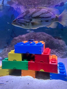 レゴランドⓇ・ジャパン・リゾートに投稿された画像（2023/11/13）