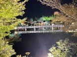 国営昭和記念公園 秋の夜散歩に投稿された画像（2023/11/13）