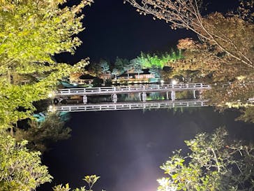 国営昭和記念公園 秋の夜散歩に投稿された画像（2023/11/13）