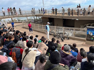 アクアワールド茨城県大洗水族館に投稿された画像（2023/11/13）