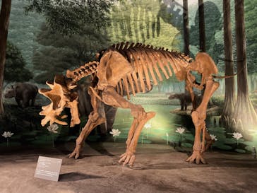 福井県立恐竜博物館に投稿された画像（2023/11/13）