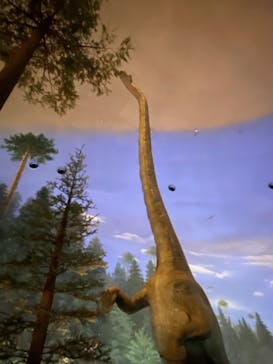 福井県立恐竜博物館に投稿された画像（2023/11/13）