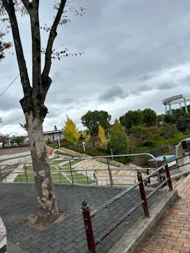 ひらかたパークに投稿された画像（2023/11/13）