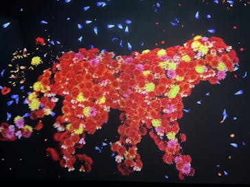 チームラボに投稿された画像（2023/11/13）