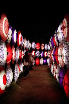 国営昭和記念公園 秋の夜散歩に投稿された画像（2023/11/13）