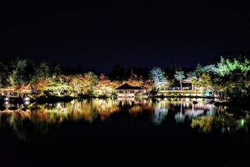 国営昭和記念公園 秋の夜散歩に投稿された画像（2023/11/13）