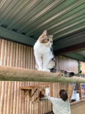 神戸どうぶつ王国に投稿された画像（2023/11/13）