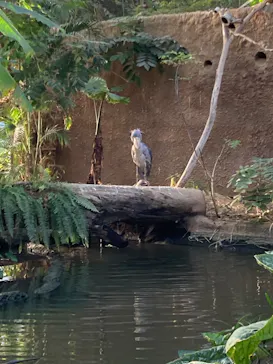 神戸どうぶつ王国に投稿された画像（2023/11/13）