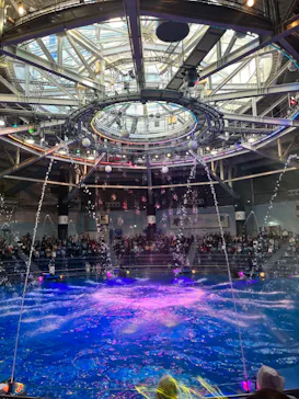 マクセル アクアパーク品川に投稿された画像（2023/11/13）