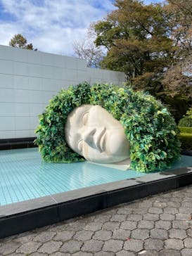 彫刻の森美術館に投稿された画像（2023/11/13）