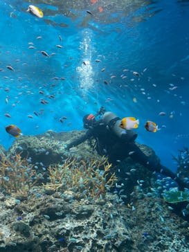 アクアワールド茨城県大洗水族館に投稿された画像（2023/11/13）