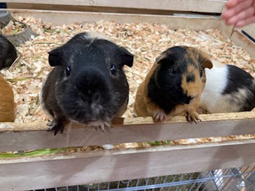 アニタッチみなとみらいに投稿された画像（2023/11/13）