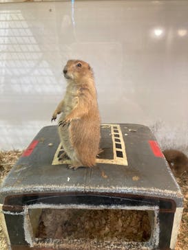 アニタッチみなとみらいに投稿された画像（2023/11/13）