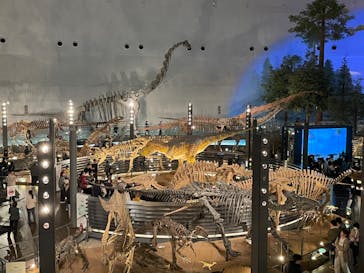 福井県立恐竜博物館に投稿された画像（2023/11/13）