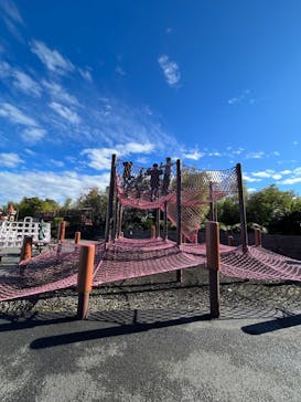 伊豆ぐらんぱる公園に投稿された画像（2023/11/13）