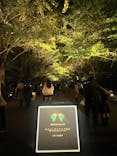 国営昭和記念公園 秋の夜散歩に投稿された画像（2023/11/13）