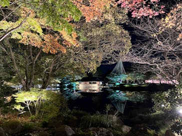 国営昭和記念公園 秋の夜散歩に投稿された画像（2023/11/13）