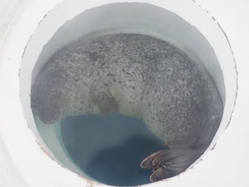 しながわ水族館に投稿された画像（2023/11/13）