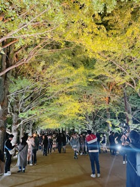 国営昭和記念公園 秋の夜散歩に投稿された画像（2023/11/13）