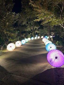 国営昭和記念公園 秋の夜散歩に投稿された画像（2023/11/13）