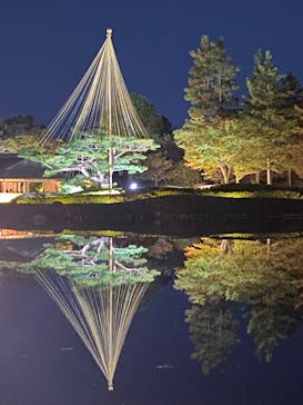 国営昭和記念公園 秋の夜散歩に投稿された画像（2023/11/13）