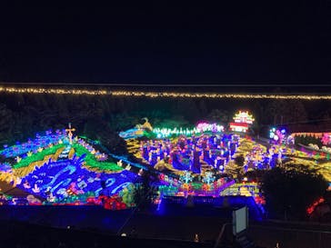 伊豆ぐらんぱる公園に投稿された画像（2023/11/13）