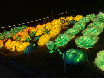 伊豆ぐらんぱる公園に投稿された画像（2023/11/13）