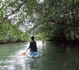 石垣島 ADVENTURE PiPi（イシガキジマアドベンチャーピピ）に投稿された画像（2023/11/13）