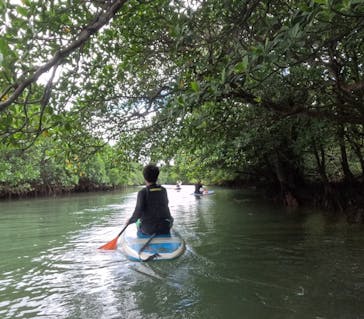石垣島 ADVENTURE PiPi（イシガキジマアドベンチャーピピ）に投稿された画像（2023/11/13）