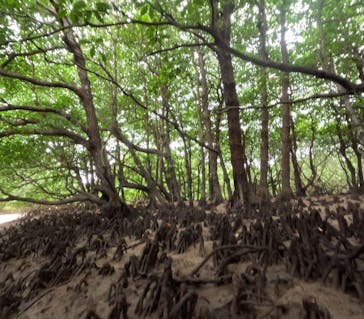 石垣島 ADVENTURE PiPi（イシガキジマアドベンチャーピピ）に投稿された画像（2023/11/13）