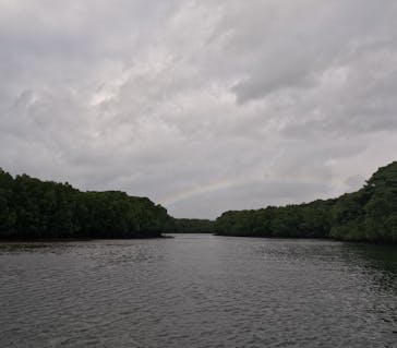 石垣島 ADVENTURE PiPi（イシガキジマアドベンチャーピピ）に投稿された画像（2023/11/13）