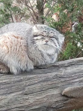 那須どうぶつ王国に投稿された画像（2023/11/13）