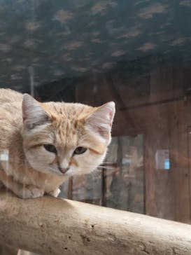 那須どうぶつ王国に投稿された画像（2023/11/13）